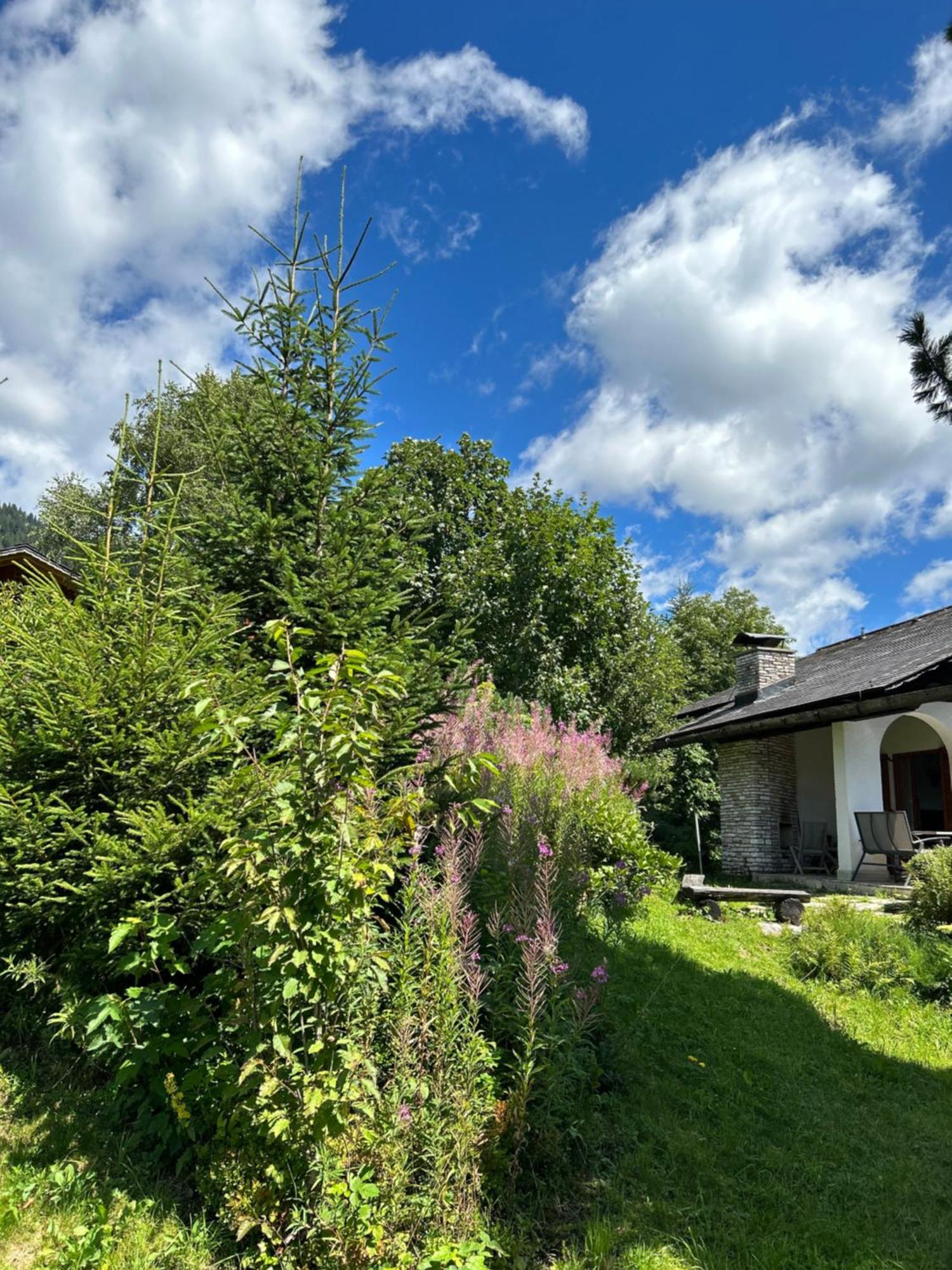Villa Haus Grimmingblick à Zlem Extérieur photo